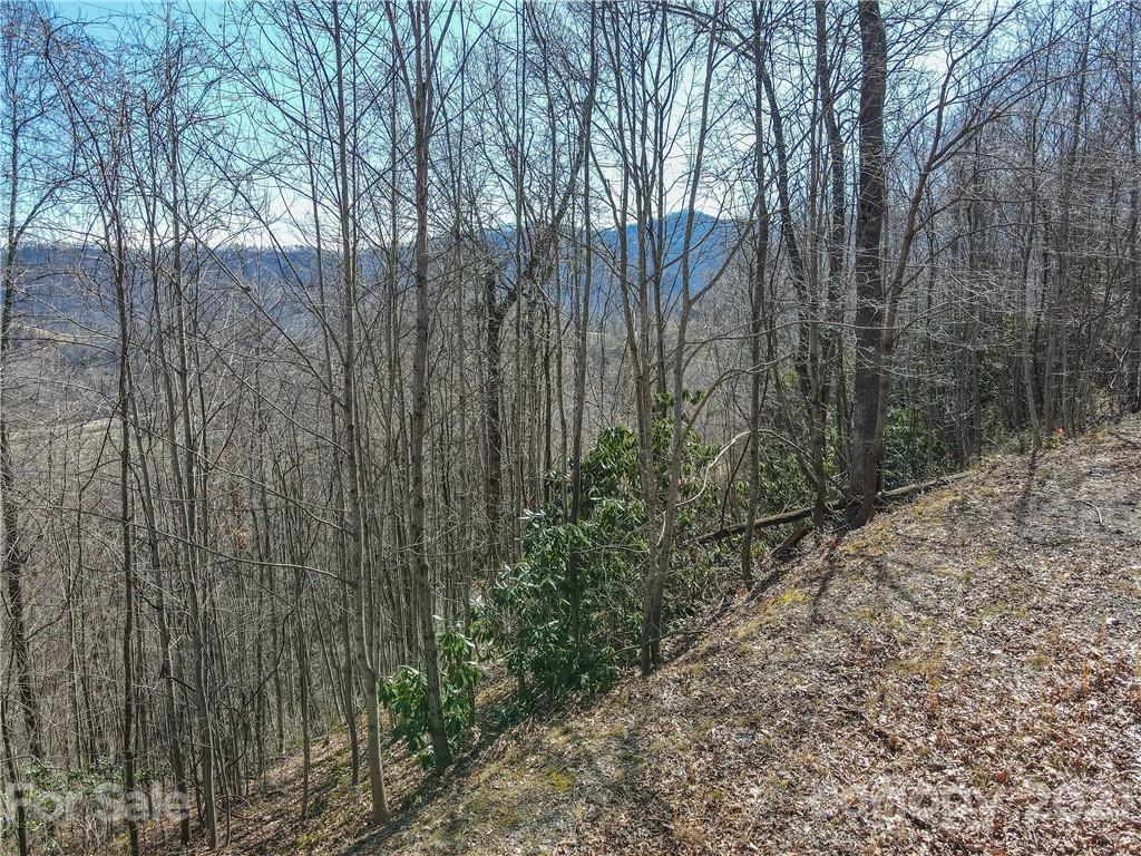 278 Violet Ridge Waynesville, NC 28785 - Photo 13 of 18 Gallery Image 13