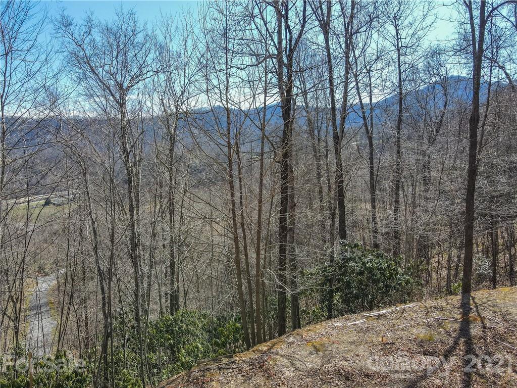 278 Violet Ridge Waynesville, NC 28785 - Photo 14 of 18 Gallery Image 14