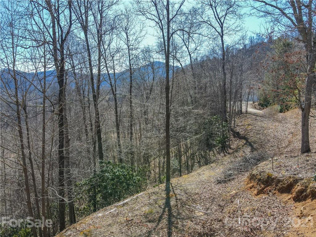 278 Violet Ridge Waynesville, NC 28785 - Photo 16 of 18 Gallery Image 16