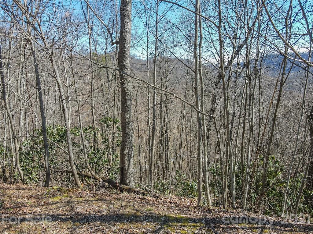 278 Violet Ridge Waynesville, NC 28785 - Photo 17 of 18 Gallery Image 17