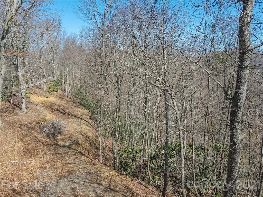 278 Violet Ridge Waynesville, NC 28785 - Photo 5 of 18 Gallery Image 5