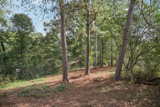a view of a forest with trees in the background
