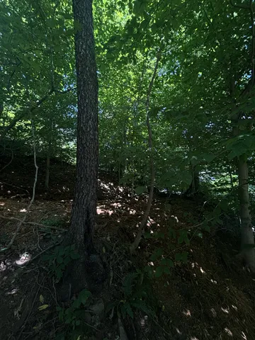 $150,000 | 0 Old Clarksville Pike, Joelton, TN 37080