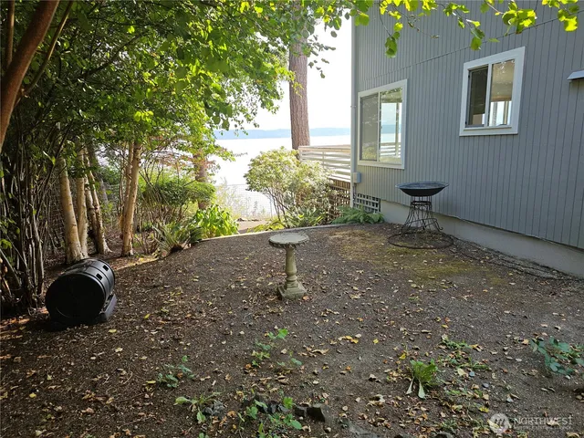 a view of a yard with plants and a bench