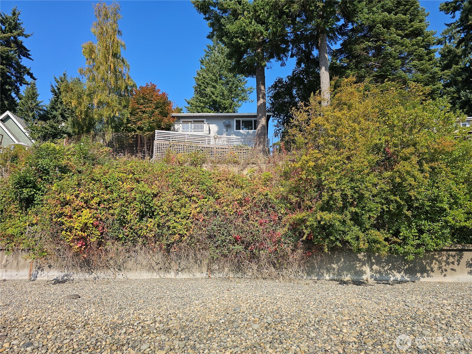 70 East Sund Road Grapeview, WA 98546 - Photo 2 of 36 a view of a yard with plants and large trees