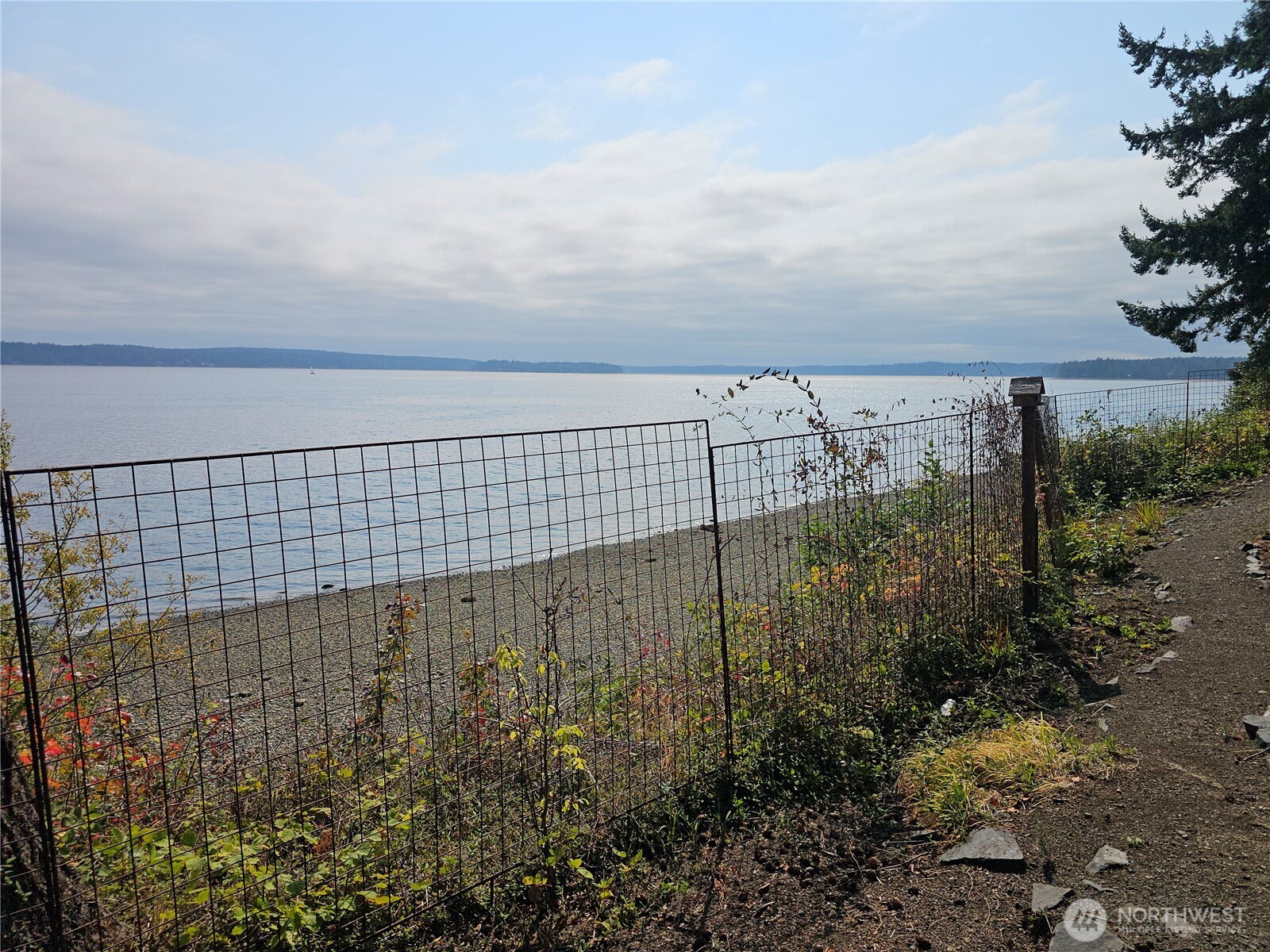 70 East Sund Road Grapeview, WA 98546 - Photo 22 of 36 a view of a garden