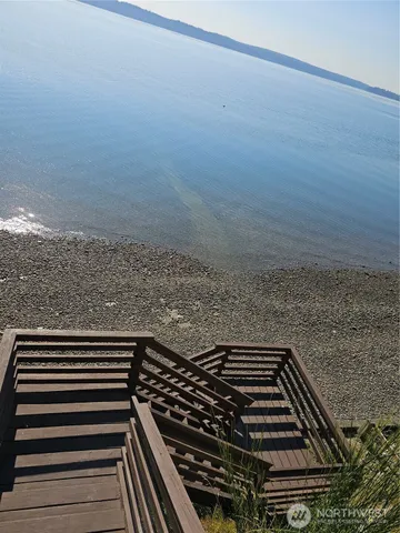 a view of a lake in middle of the forest