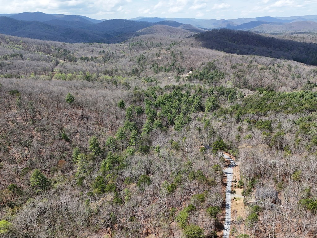 Lot 117 Laurel Trace Blue Ridge, GA 30513 - Photo 11 of 20 Gallery Image 11