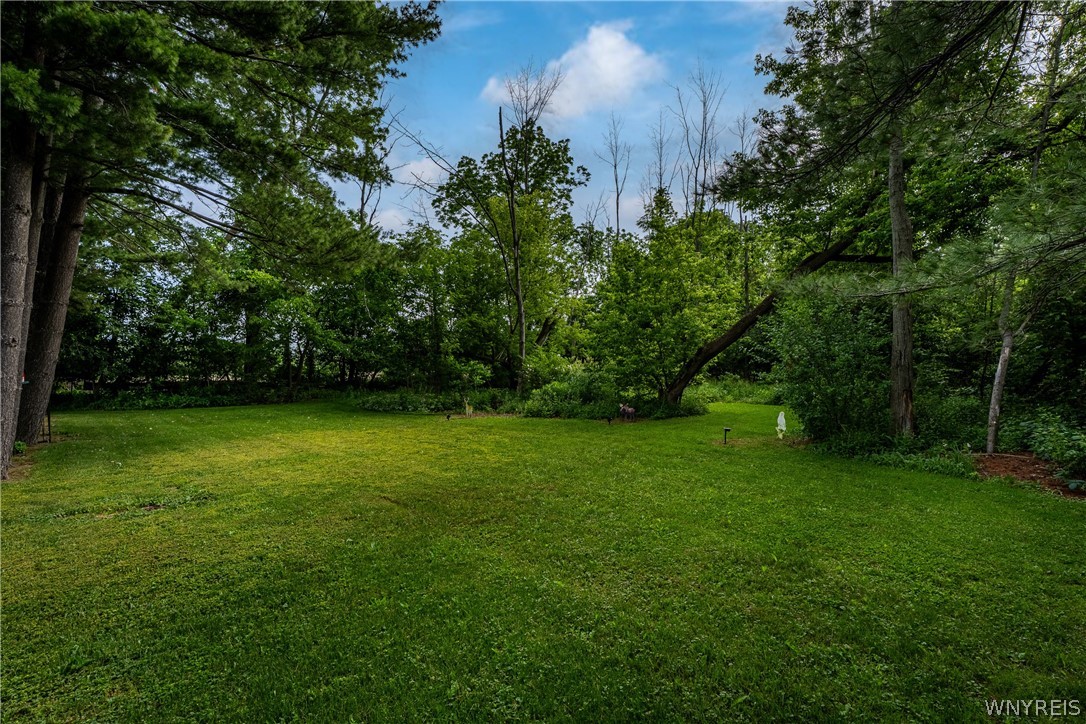 4257 Freeman Road Royalton, NY 14105 - Photo 7 of 46