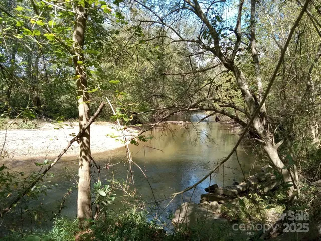 a view of fountain in a forest