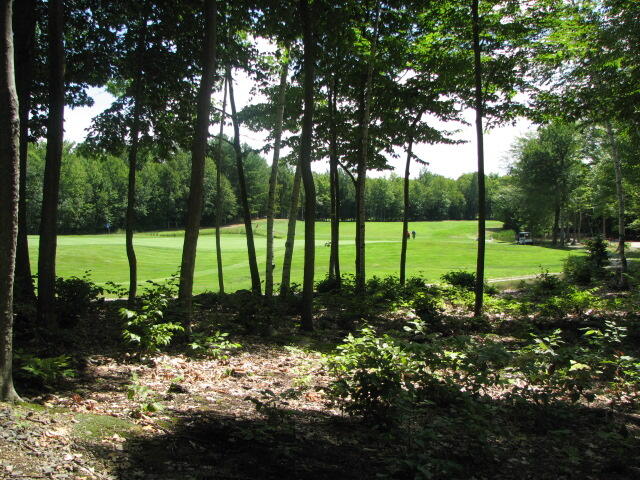 36 Sunset Road Frye Island, ME 04084 - Photo 18 of 23 IMG_0584