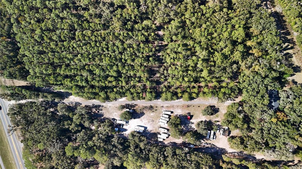 11440 Southwest Archer Road Gainesville, FL 32608 - Photo 29 of 44 a view of bunch of trees