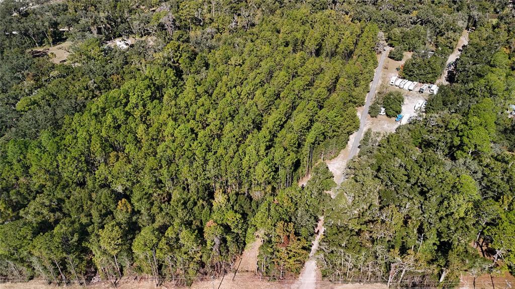 11440 Southwest Archer Road Gainesville, FL 32608 - Photo 30 of 44 a view of a house with a tree