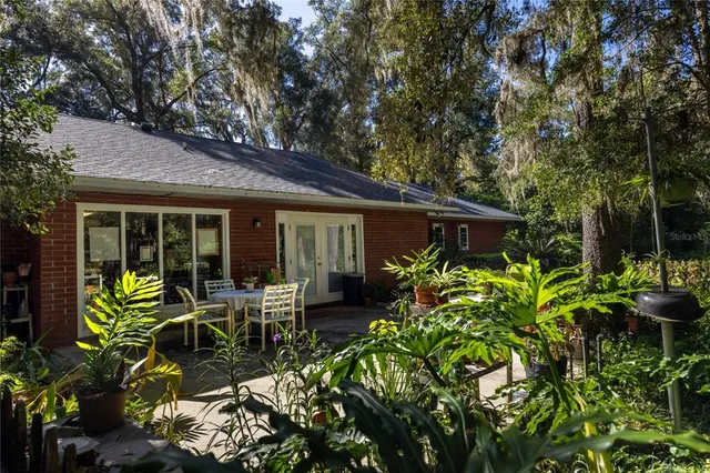 a view of a yard with plants and trees
