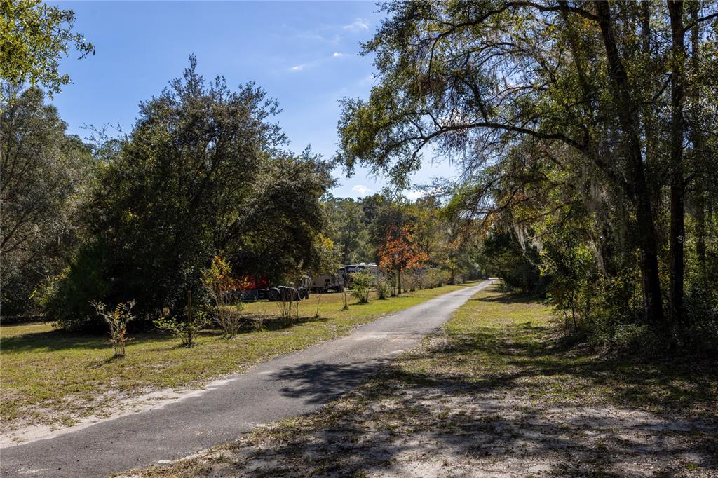 11440 Southwest Archer Road Gainesville, FL 32608 - Photo 43 of 44 a view of a yard with plants and trees