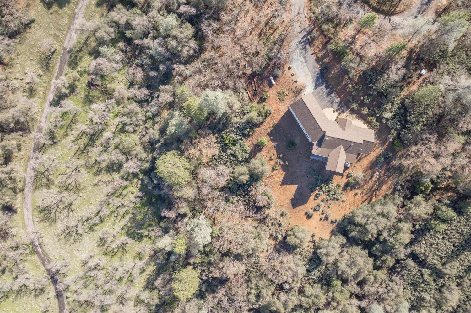 3204 Skunk Ranch Road Murphys, CA 95247 - Photo 49 of 59