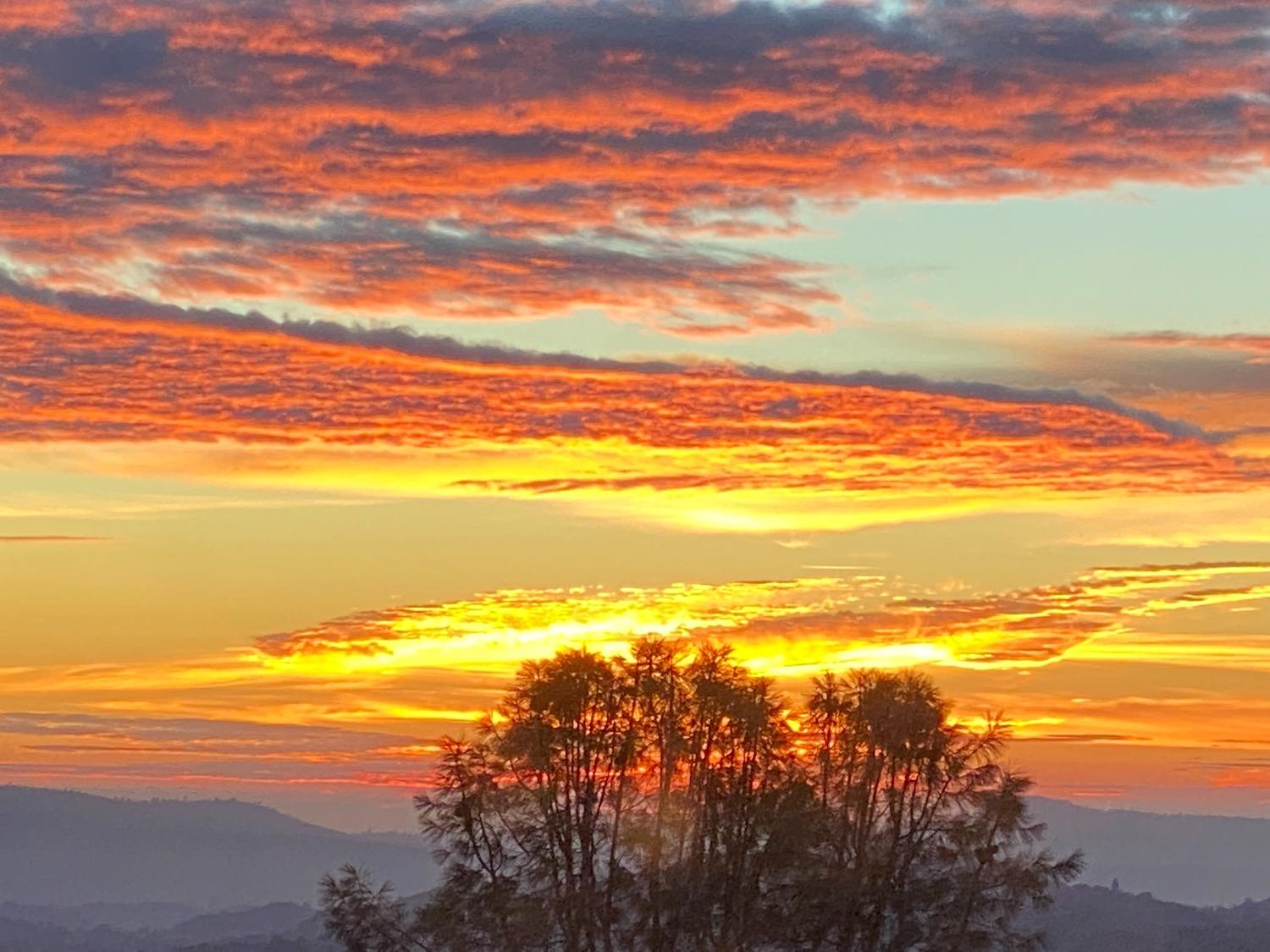 3204 Skunk Ranch Road Murphys, CA 95247 - Photo 54 of 59