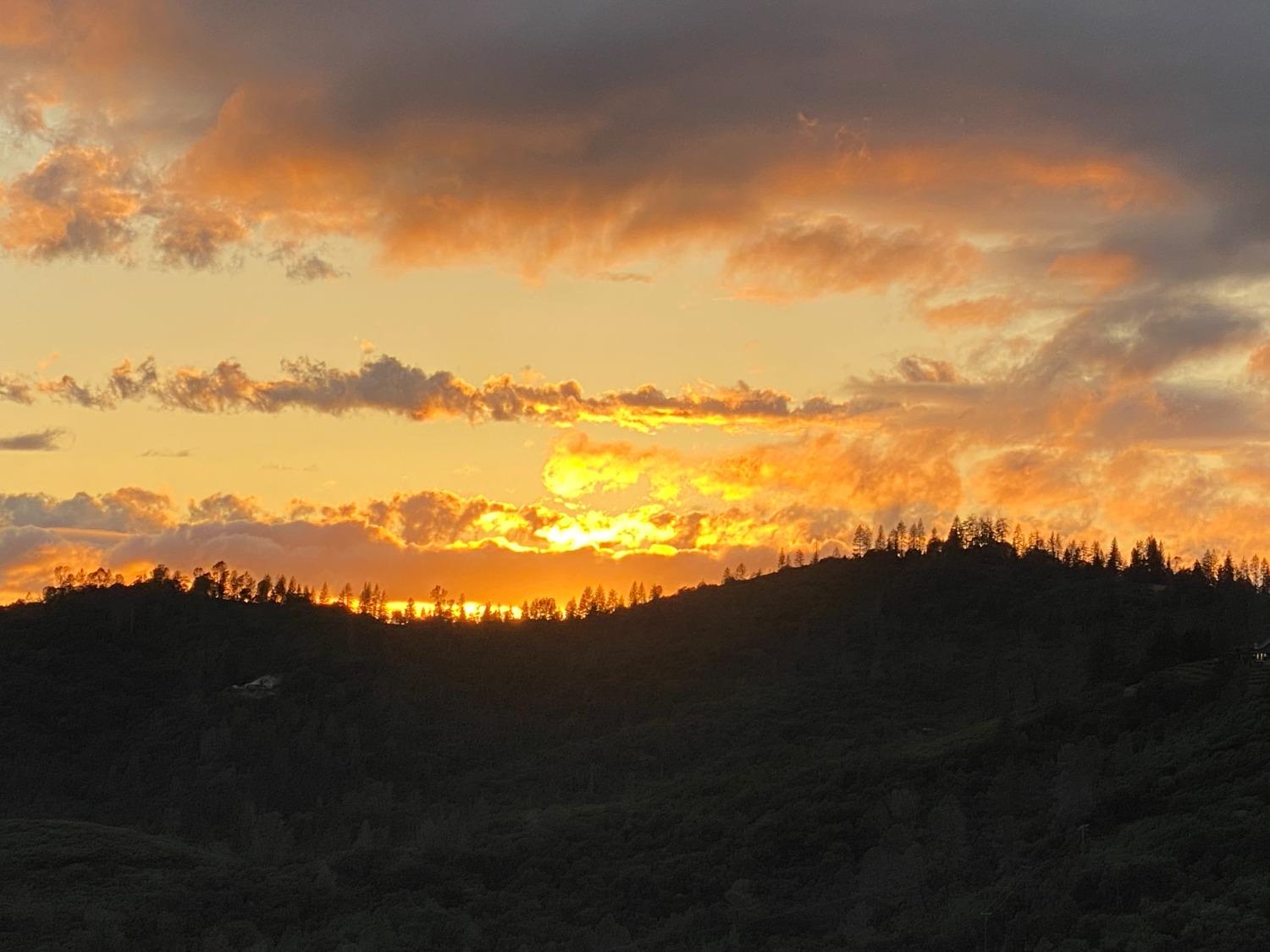 3204 Skunk Ranch Road Murphys, CA 95247 - Photo 56 of 59