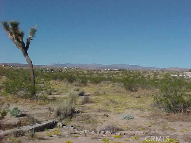 a view of a lake with a mountain