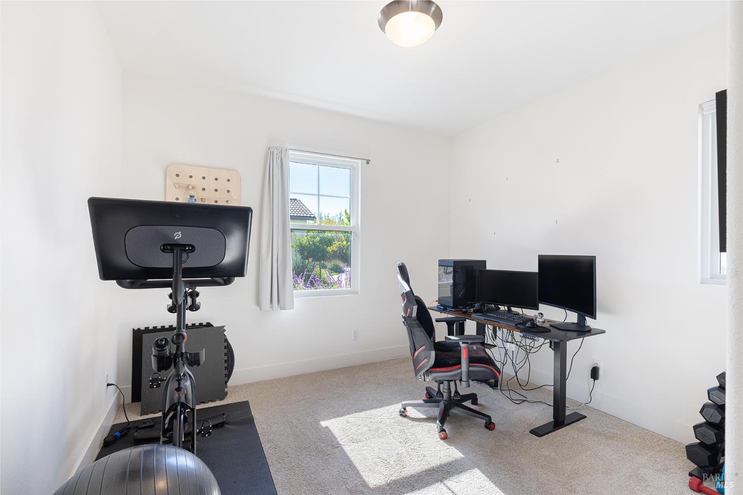 6092 Oak Leaf Place Rohnert Park, CA 94928 - Photo 9 of 39 Downstairs bedroom used currently as a gym and office with its on full bathroom