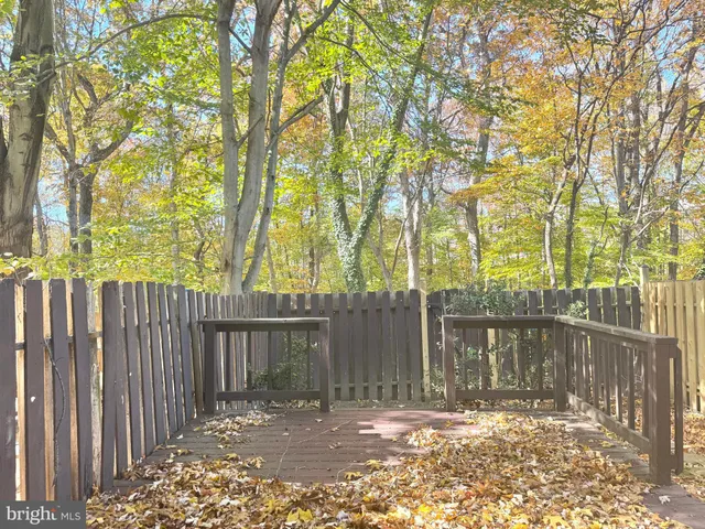 a view of backyard with wooden fence and large trees