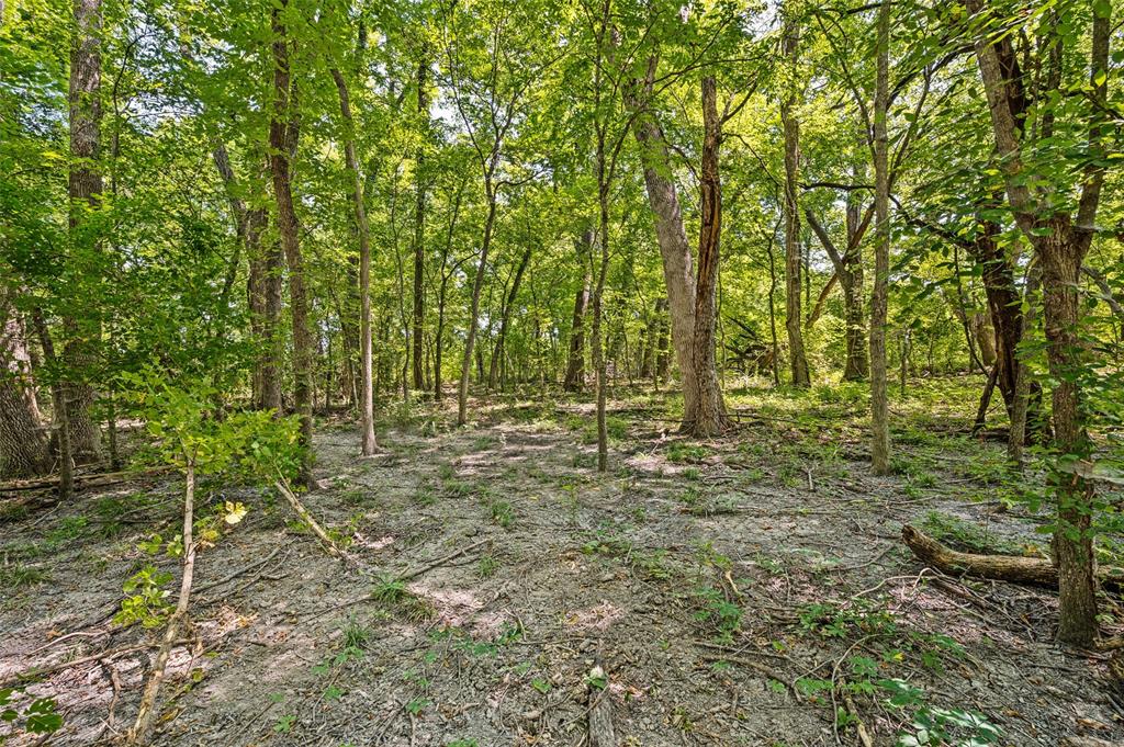 555 Yowell Hill Road Tom Bean, TX 75491 - Photo 29 of 33