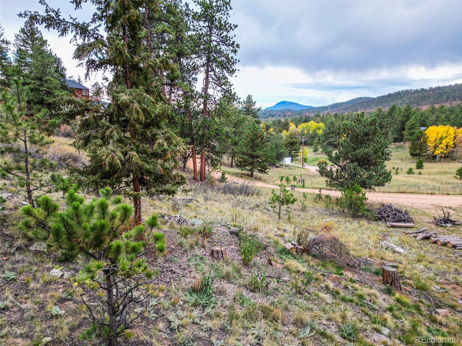 33247 Jenifer Road Pine, CO 80470 - Photo 16 of 20 Gallery Image 16