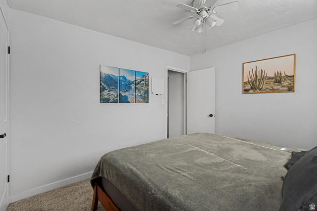 730 Geranium Street Sandy, UT 84094 - Photo 10 of 35 Textured carpeting, white walls, white ceiling fan with integrated lighting, and a white door with a black doorknob