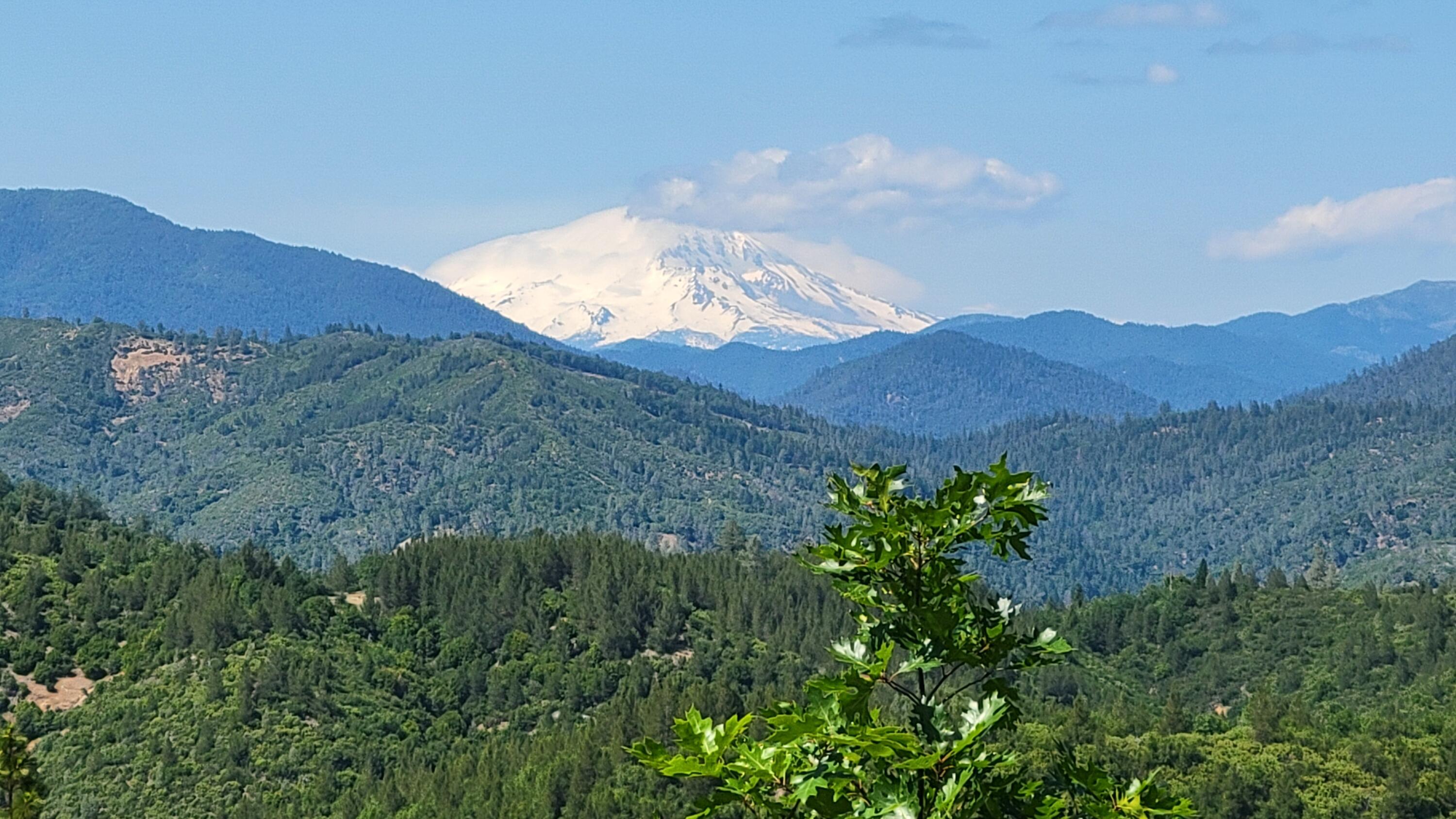 0 Backbone Road Bella Vista, CA 96008 - Photo 22 of 38 a view of a lush green hillside and a houses