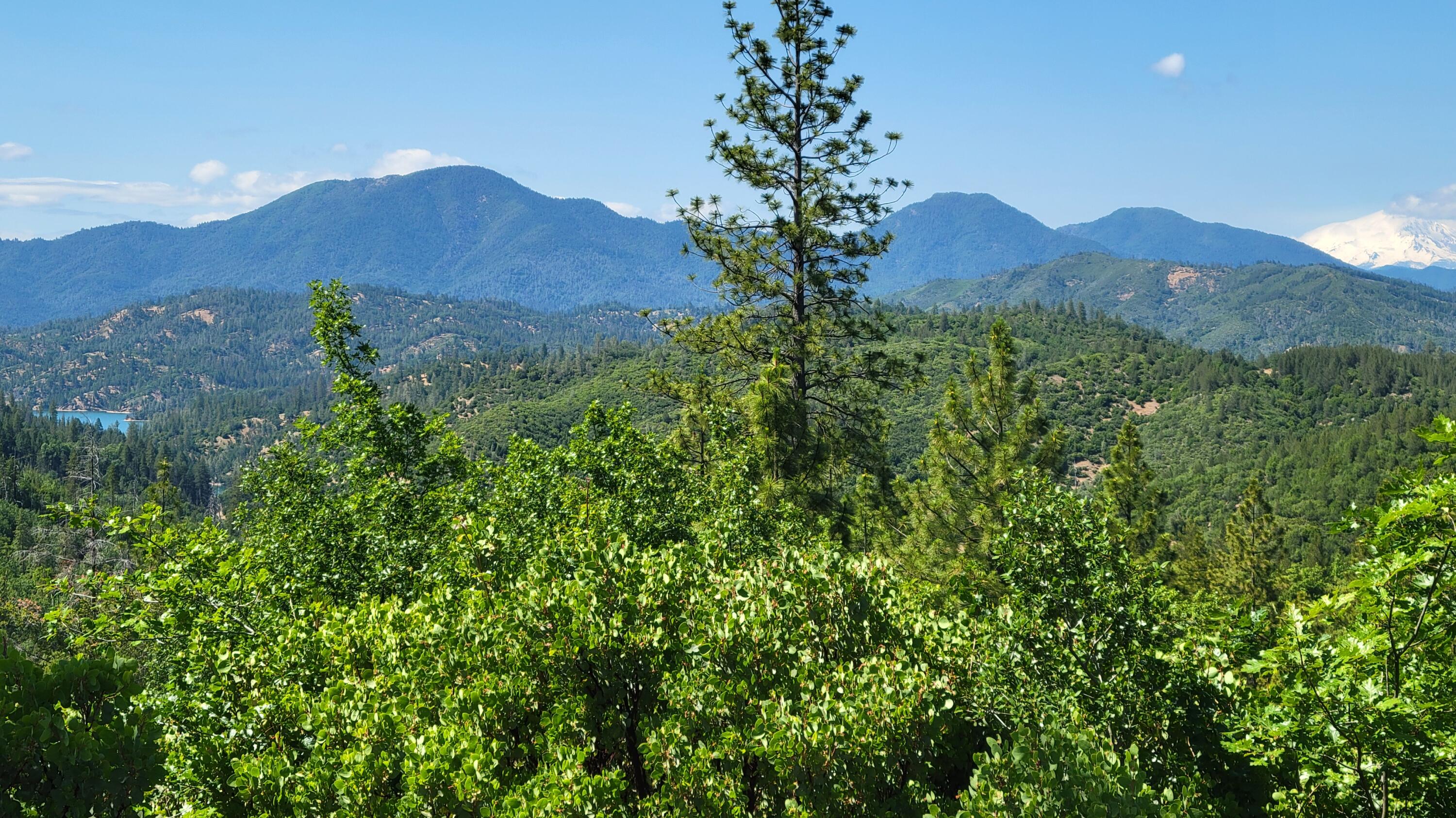 0 Backbone Road Bella Vista, CA 96008 - Photo 23 of 38 a view of a lush green hillside and a building