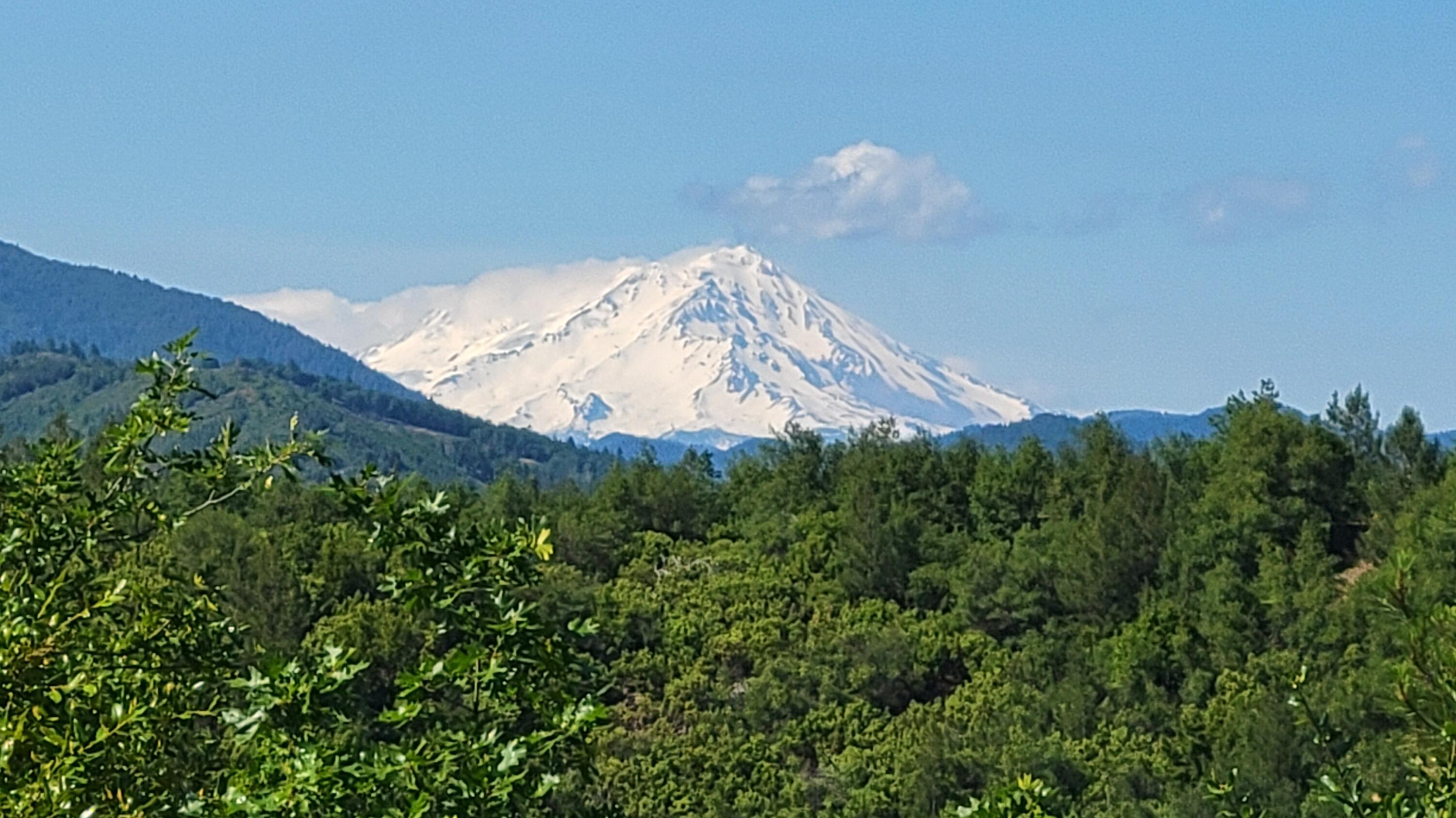 0 Backbone Road Bella Vista, CA 96008 - Photo 27 of 38 a view of a dry yard in a backyard of a house