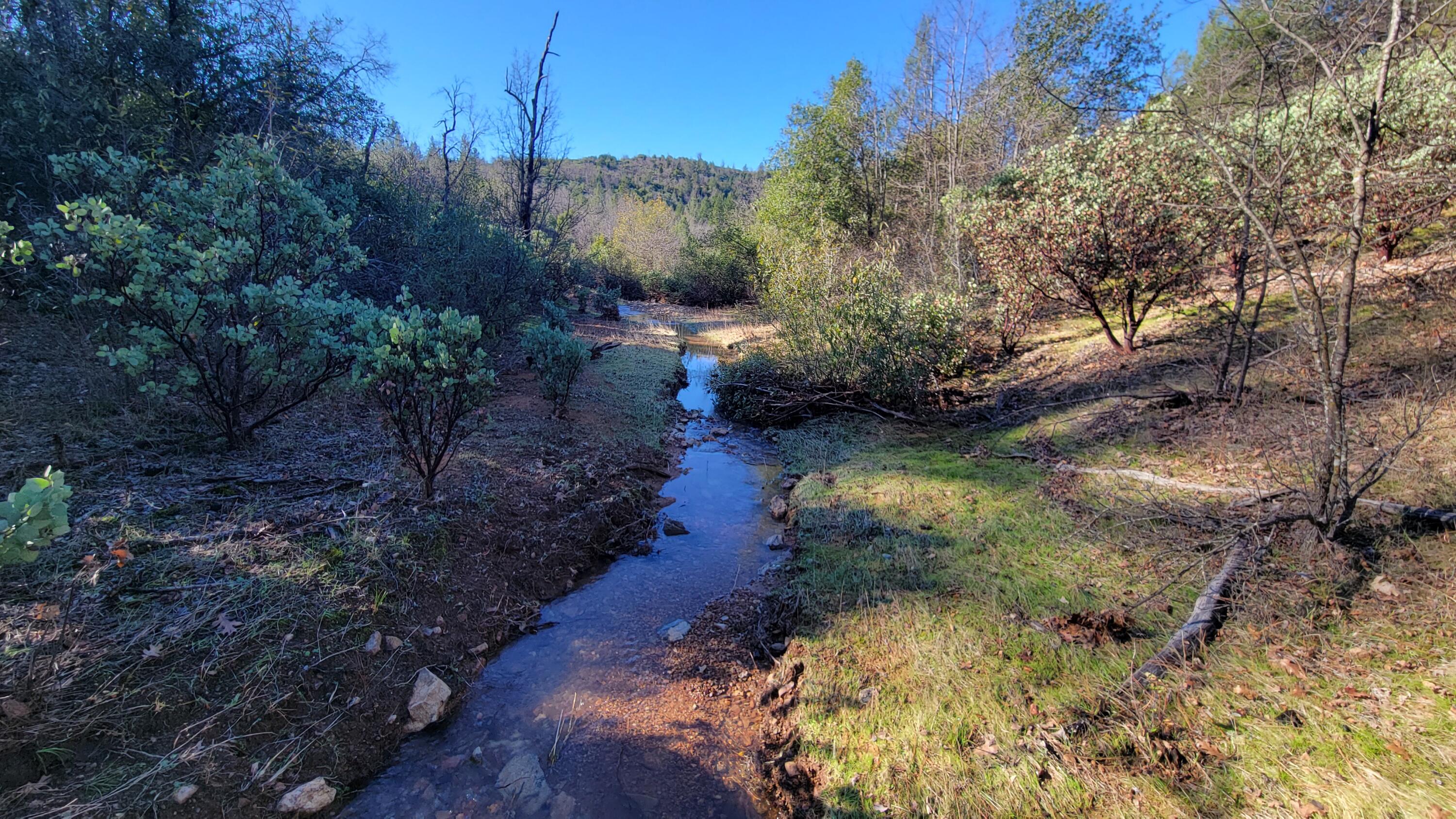 0 Backbone Road Bella Vista, CA 96008 - Photo 31 of 38 a view of a lake with large trees