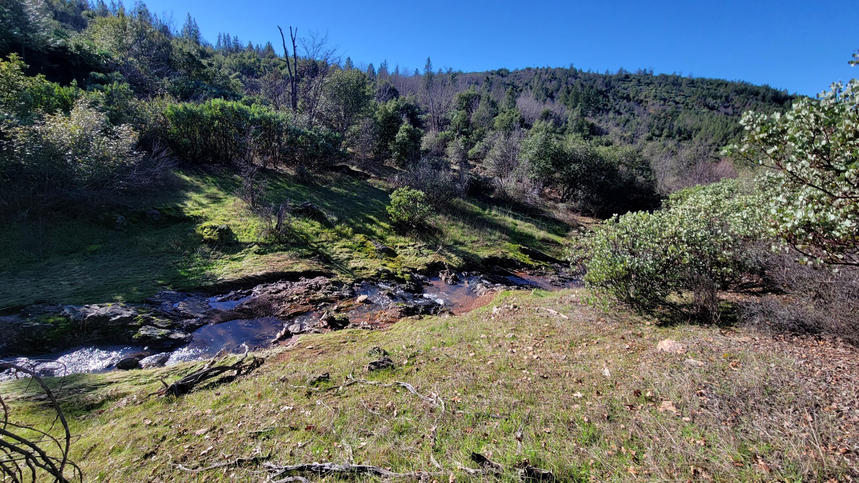 0 Backbone Road Bella Vista, CA 96008 - Photo 34 of 38 a view of a yard with a tree