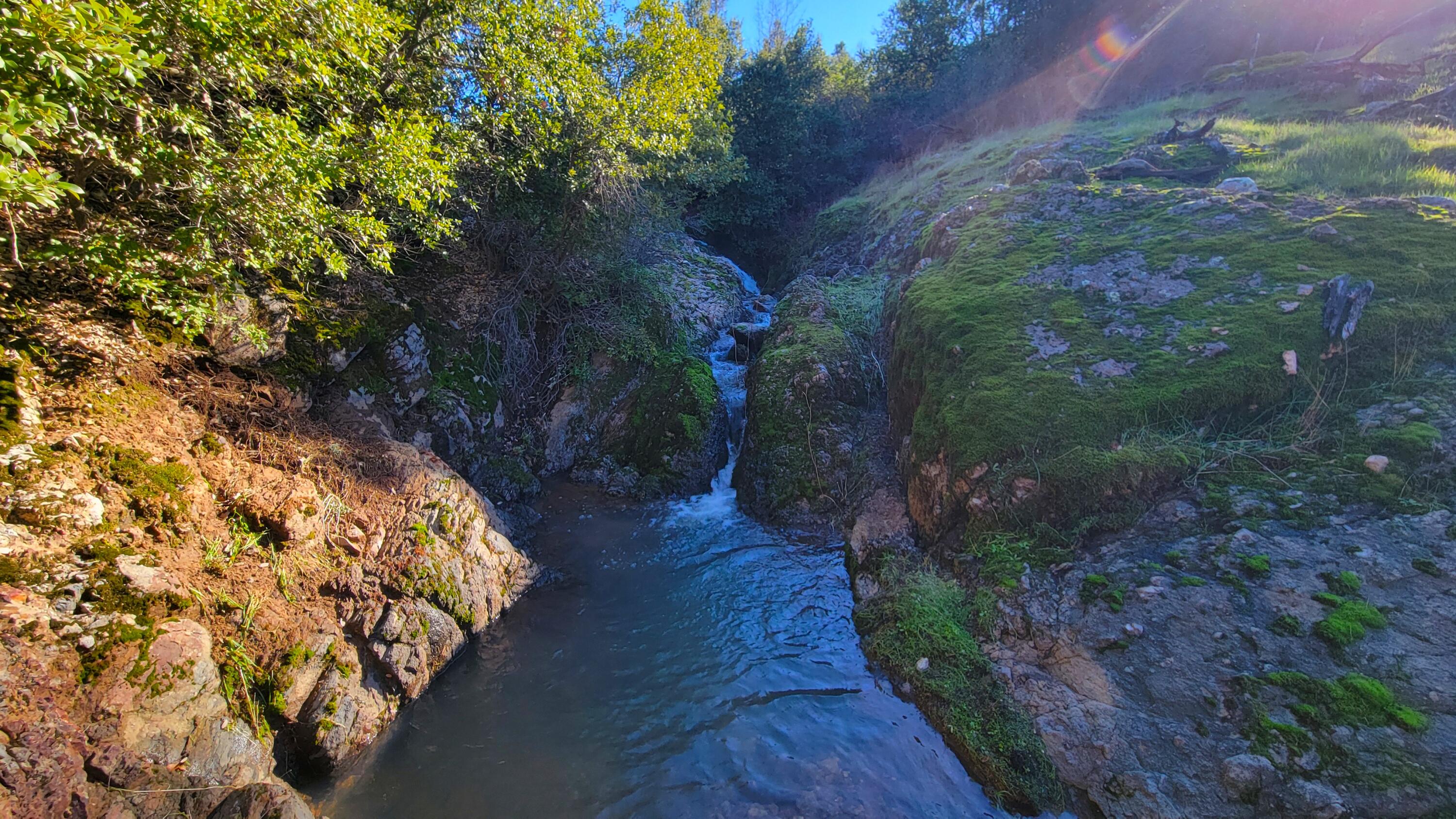 0 Backbone Road Bella Vista, CA 96008 - Photo 38 of 38 a view of a backyard
