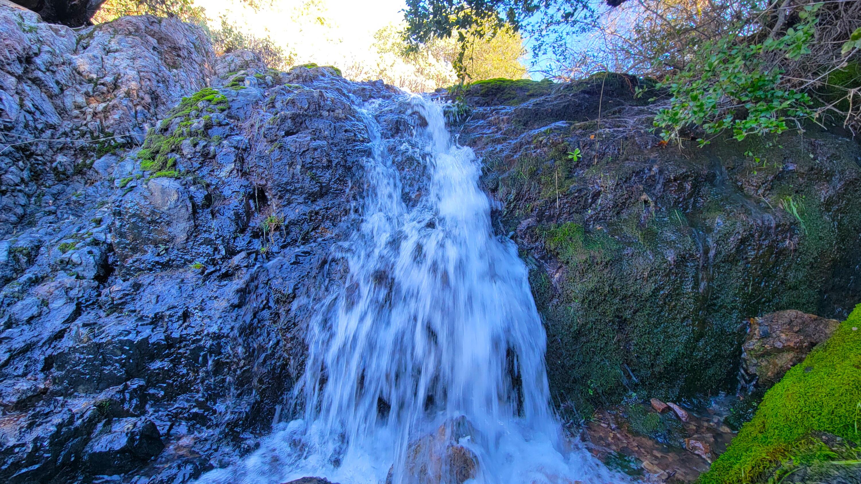 0 Backbone Road Bella Vista, CA 96008 - Photo 5 of 38 a view of a yard