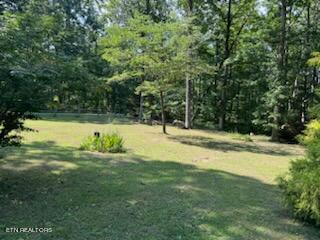 170 Valley Loop Road Crossville, TN 38572 - Photo 33 of 40 IMG_4487