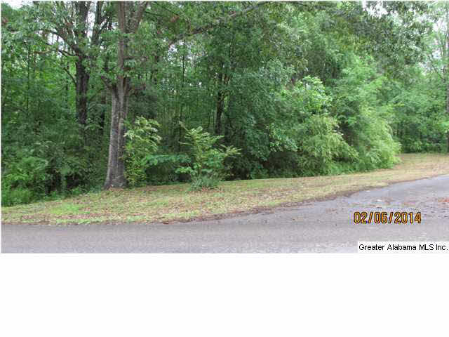 Lot 1 Wooten Road, Unit LOT 1 Alabaster, AL 35007 - Photo 1 of 1