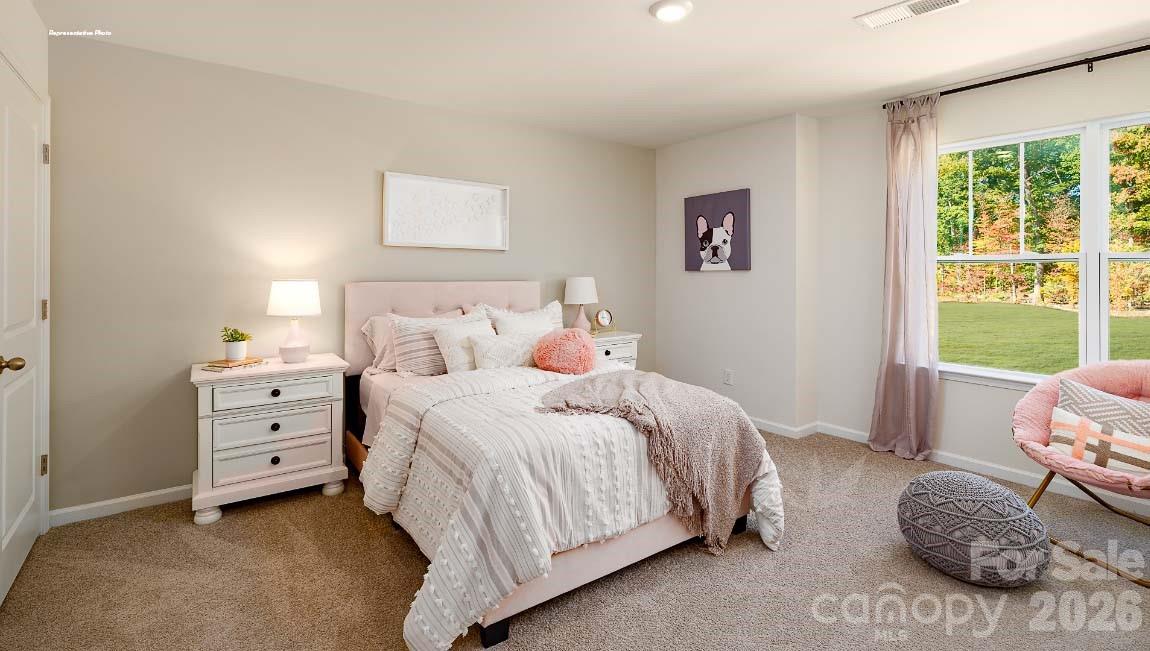 602 Dazzle Loop Newton, NC 28658 - Photo 19 of 29 a bedroom with a bed and a window
