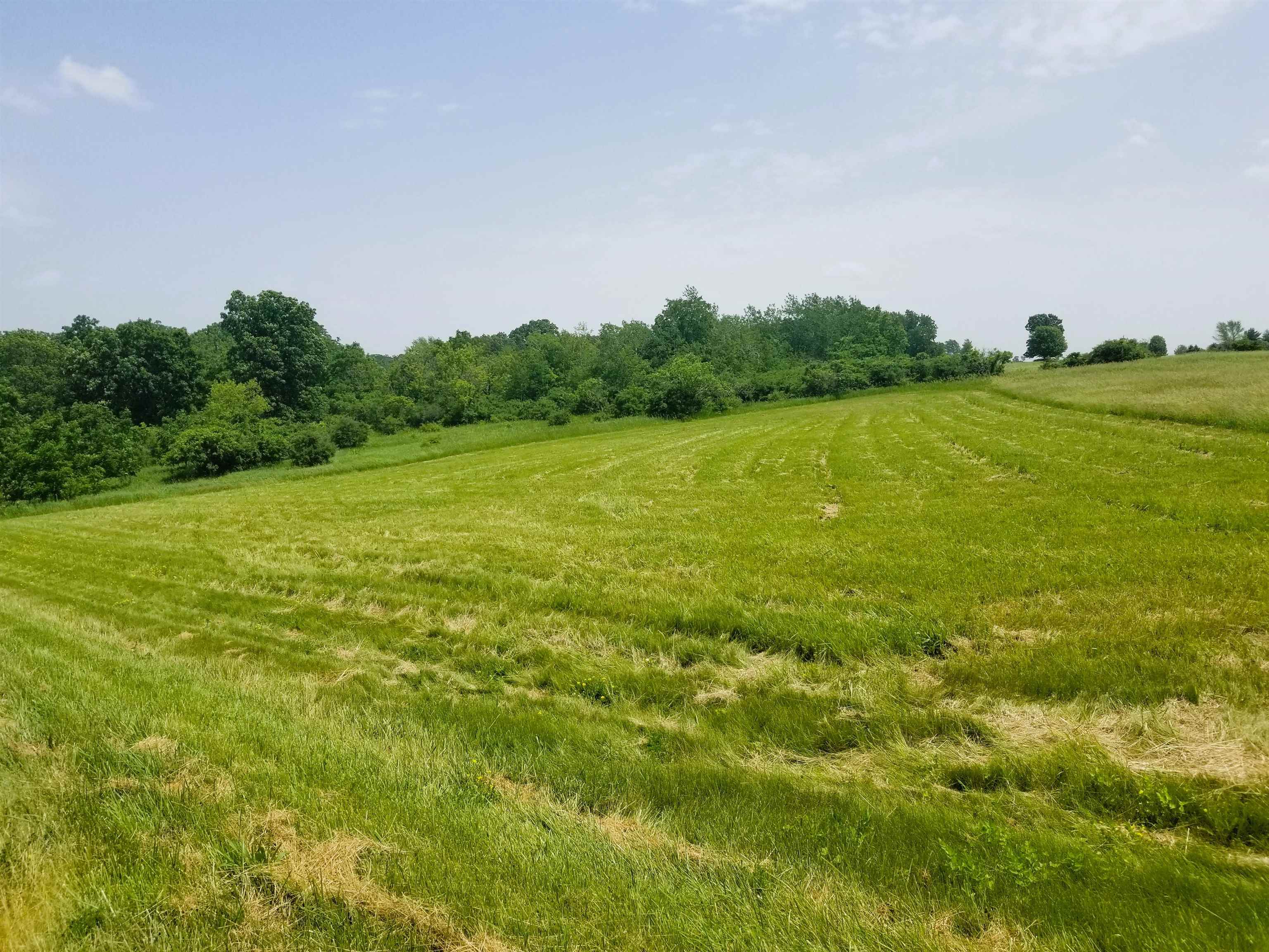 24-47 Carriage Hill Court Lake Carroll, IL 61046 - Photo 1 of 7 a view of a field with an trees in the background