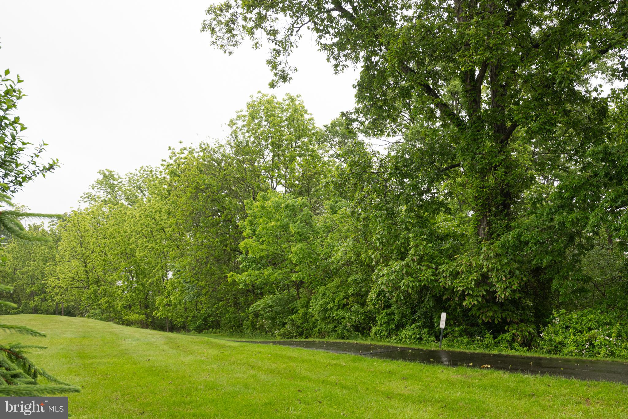 706 Melvin Road Telford, PA 18969 - Photo 39 of 55 a view of yard with green space