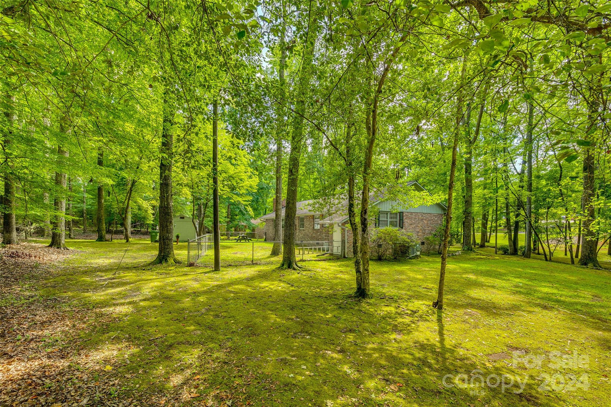 812 Lakeside Circle Lancaster, SC 29720 - Photo 30 of 32 a view of a yard with a tree