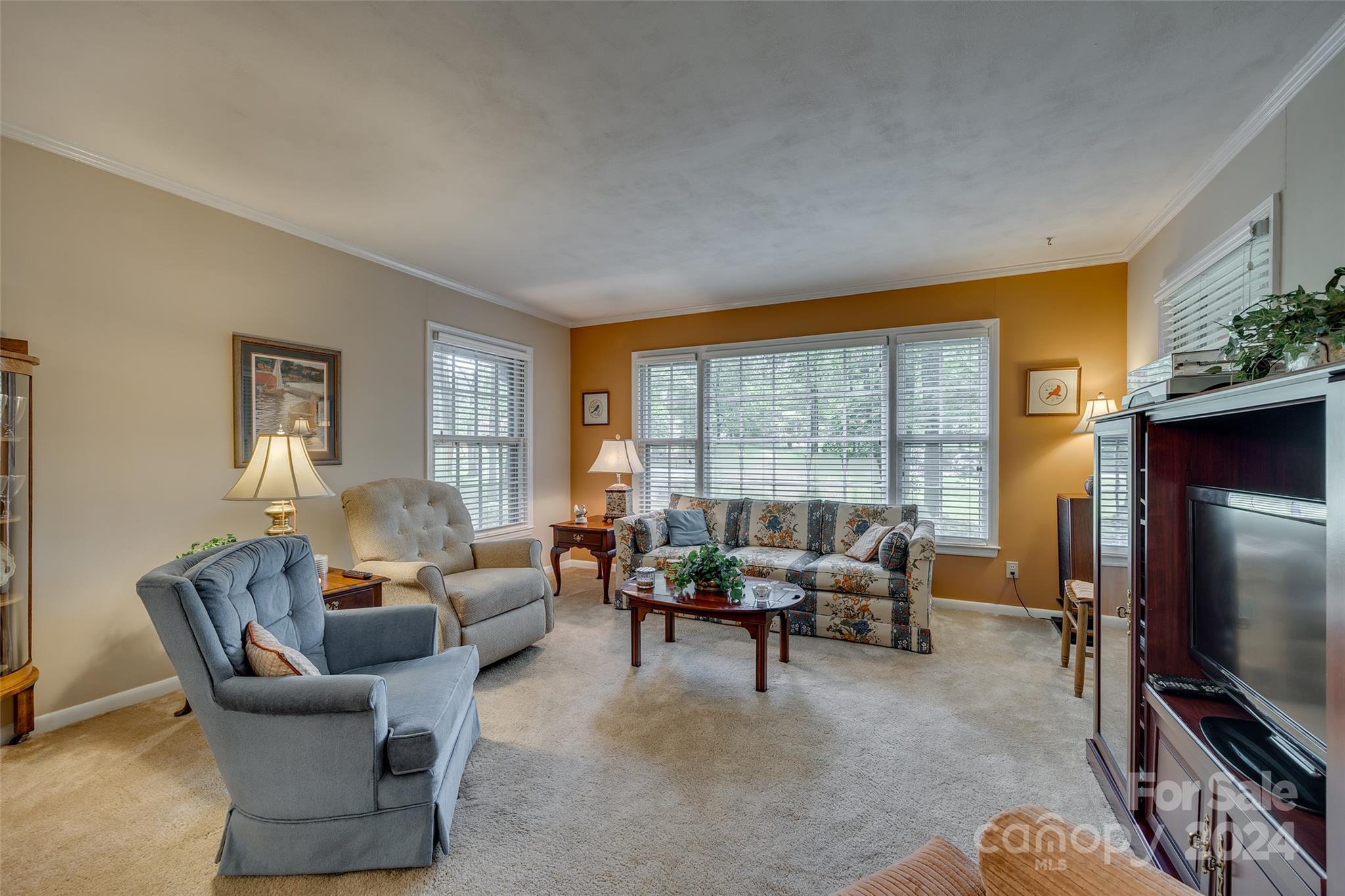 812 Lakeside Circle Lancaster, SC 29720 - Photo 8 of 32 a living room with furniture and a flat screen tv