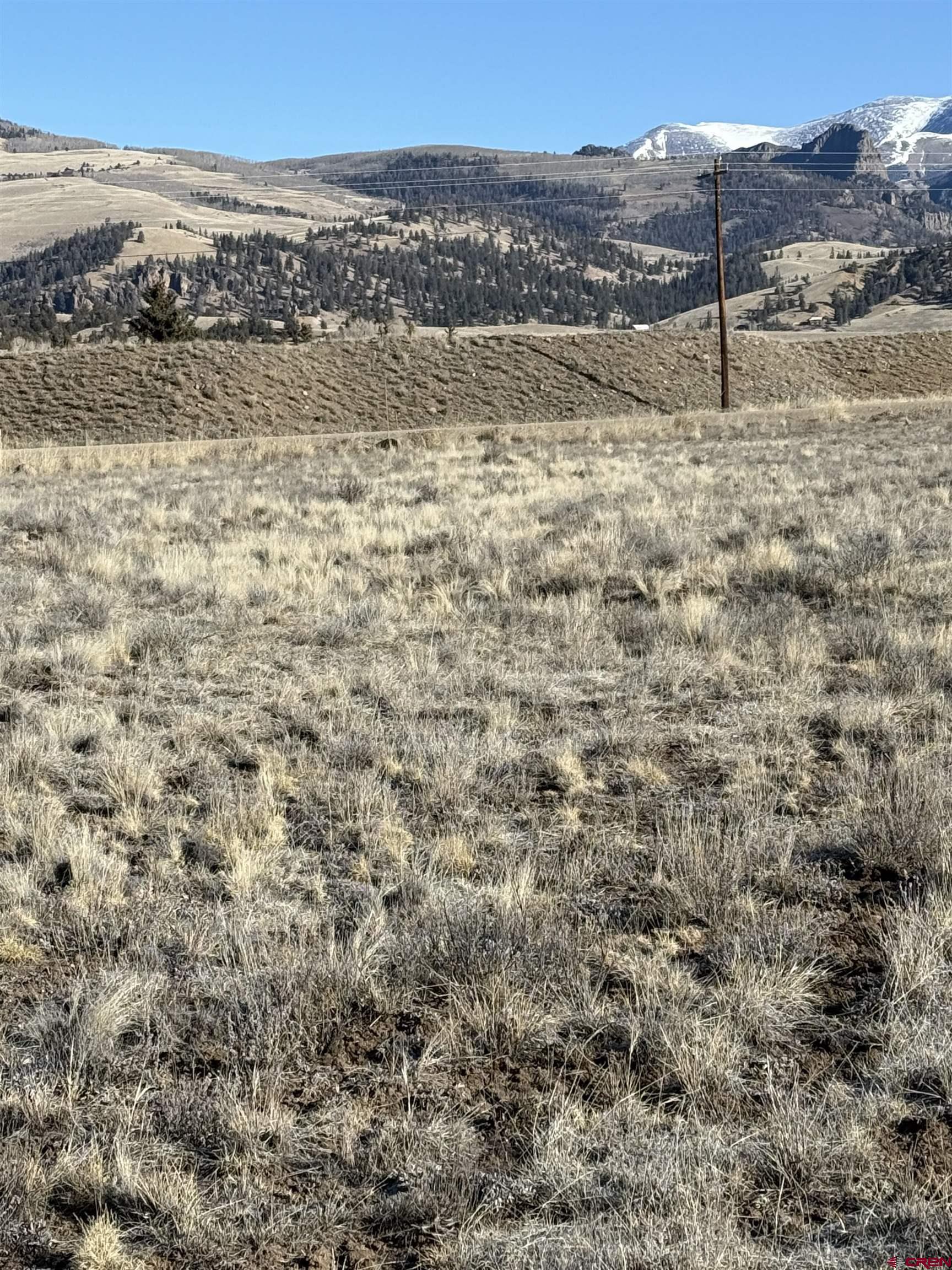 4860 Deep Creek Road Creede, CO 81130 - Photo 6 of 19 a view of a yard with a mountain