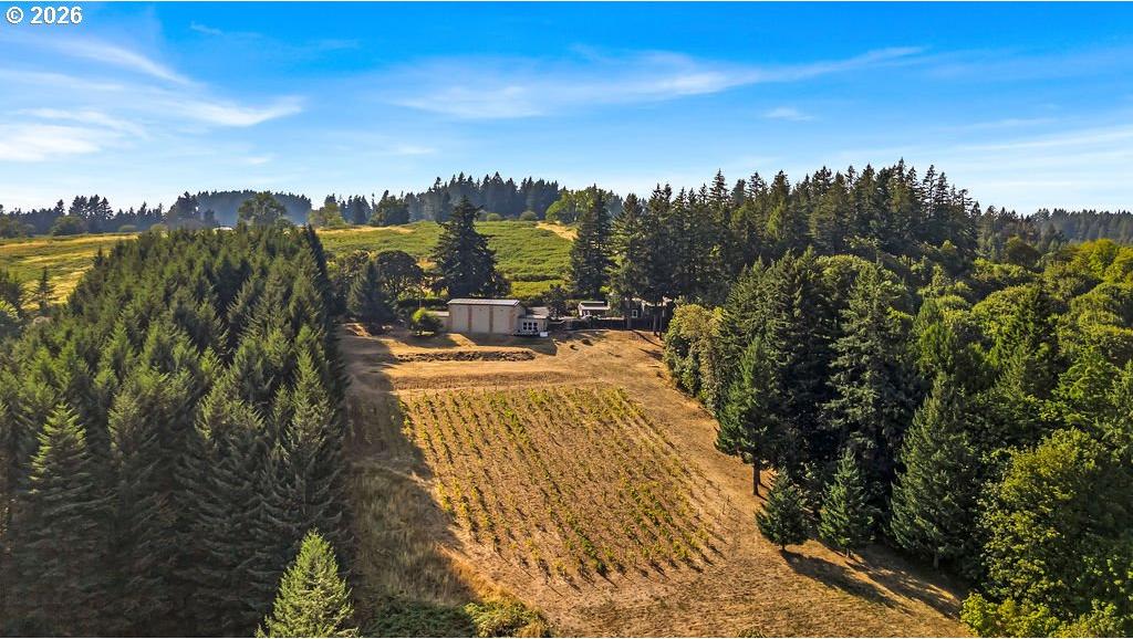 18485 Northeast Smith Road Newberg, OR 97132 - Photo 39 of 46 Gallery Image 39