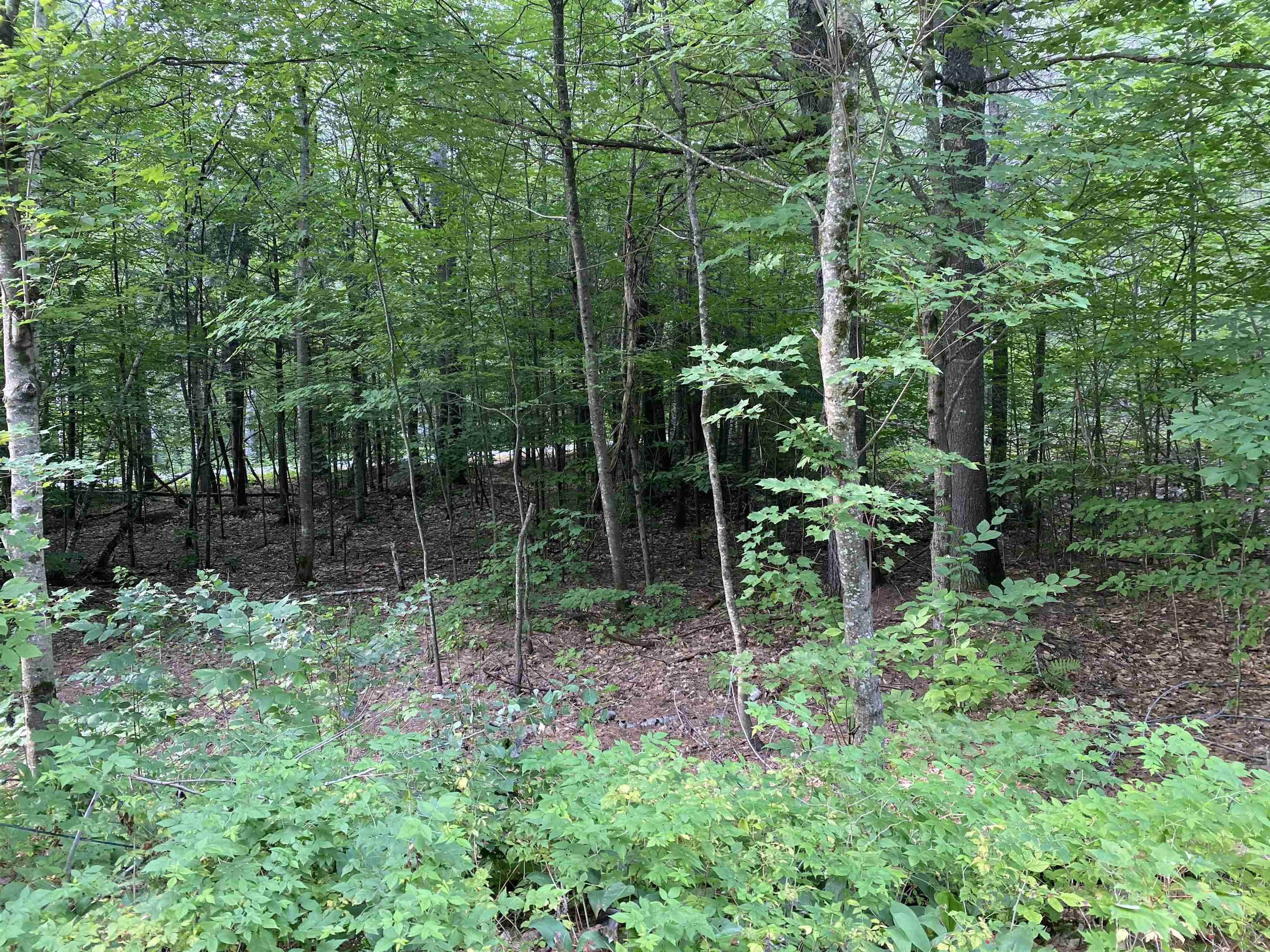Pine Hill Road Wilmot, NH 03287 - Photo 1 of 1 Gallery Image 1