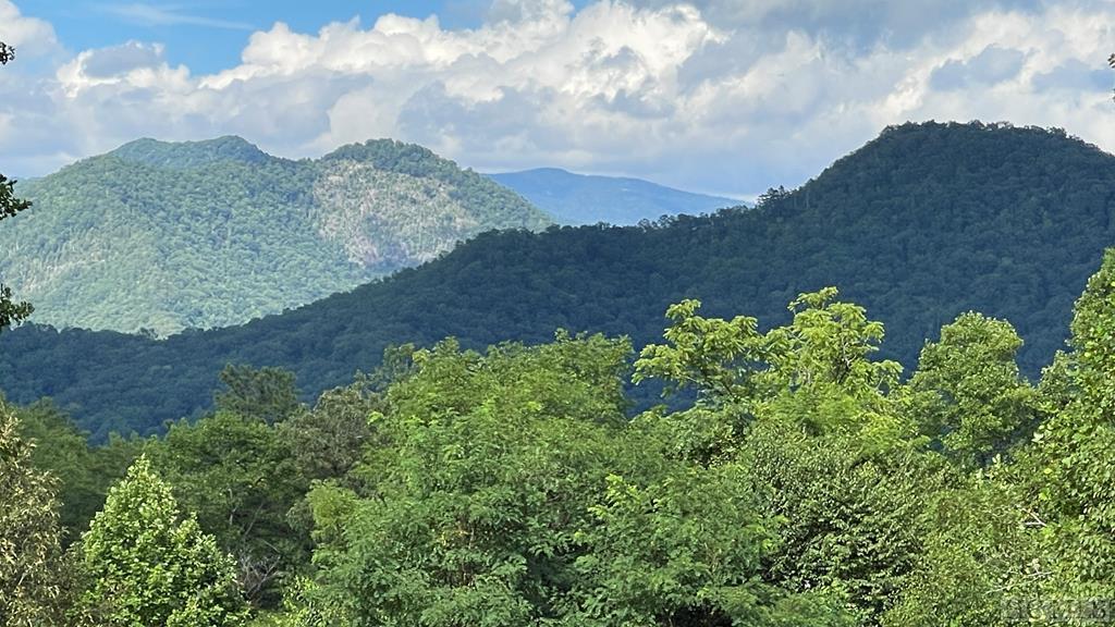1-3 Moody Bridge Road Cullowhee, NC 28723 - Photo 2 of 16 Gallery Image 2