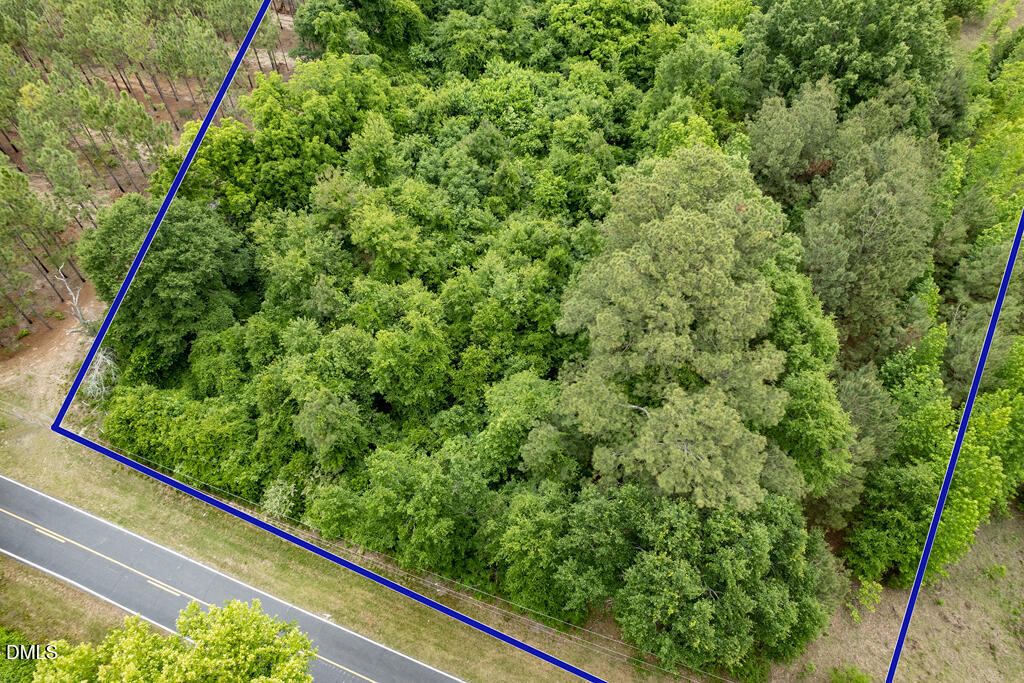 401 Johnson Pond Road Red Springs, NC 28377 - Photo 17 of 22 MLS_3.54acres_Hoke-4