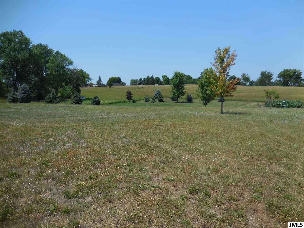V/l Arnold Road Brooklyn, MI 49230 - Photo 8 of 11 Photo 9