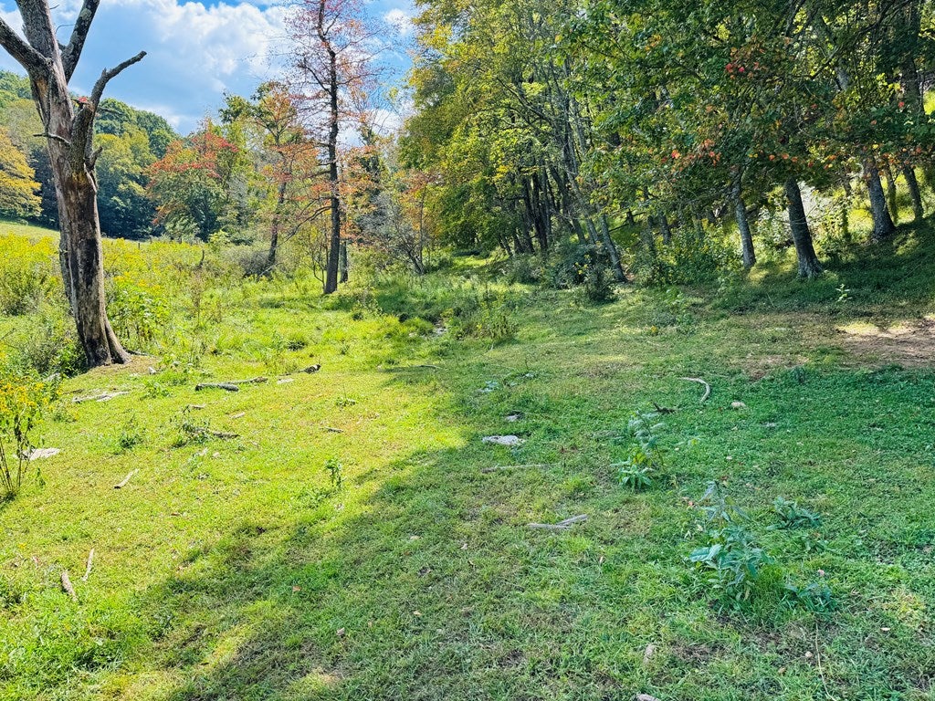 5771 Joy Ranch Road Fancy Gap, VA 24328 - Photo 45 of 45 Gallery Image 45