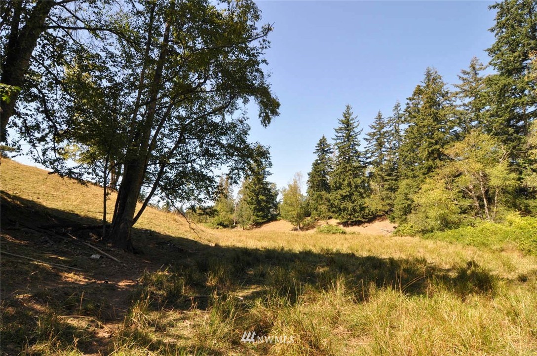 1100 East Hemmi Road Everson, WA 98247 - Photo 12 of 25